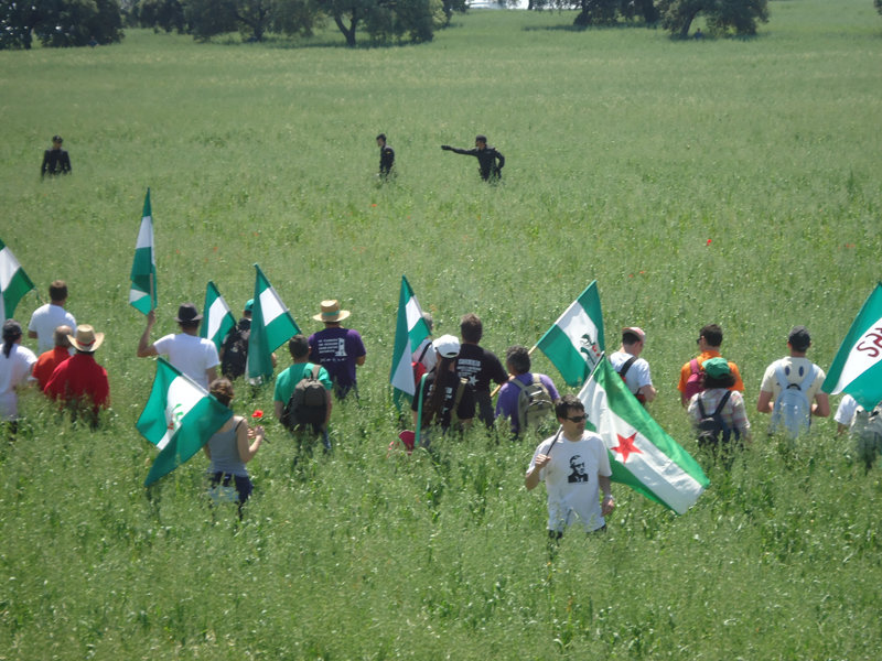 Miembros del Sindicato Andaluz de Trabajadores entran en la finca Las Turquillas (Écija) en mayo de 2013.