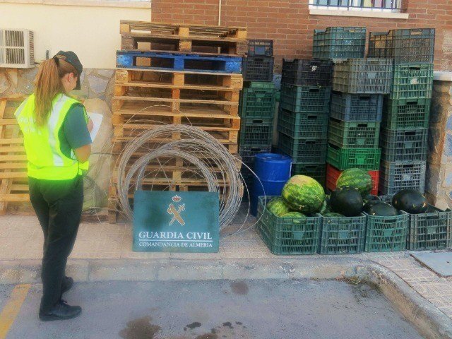 Sandías robadas recuperadas por la Guardia Civil en Almería.