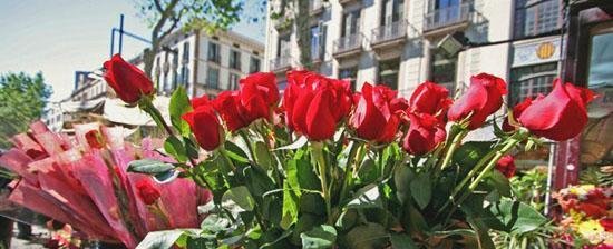 Flores por el día de Sant Jordi en Barcelona