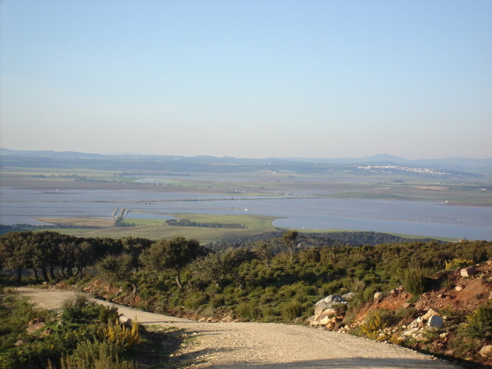 Vista actual de la laguna de La Janda.