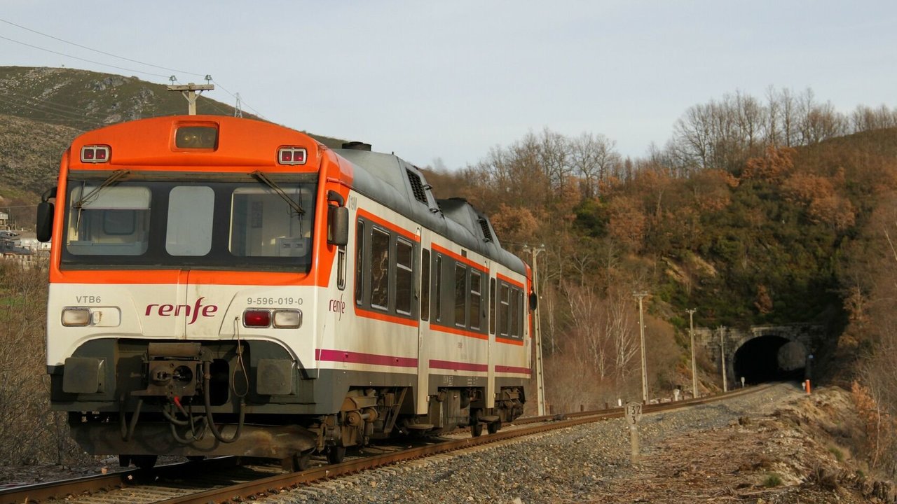 El Tamagochi, tren de la serie D596 de Renfe