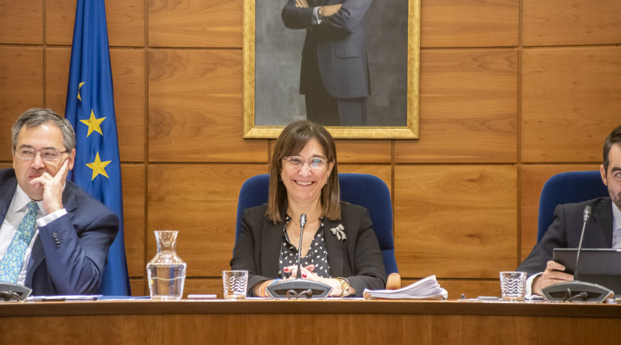 Imagen de Susana Pérez Quislant en el pleno del pasado 19 de diciembre de 2019