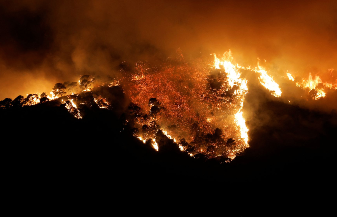 El incendio forestal visto desde Benahavís.