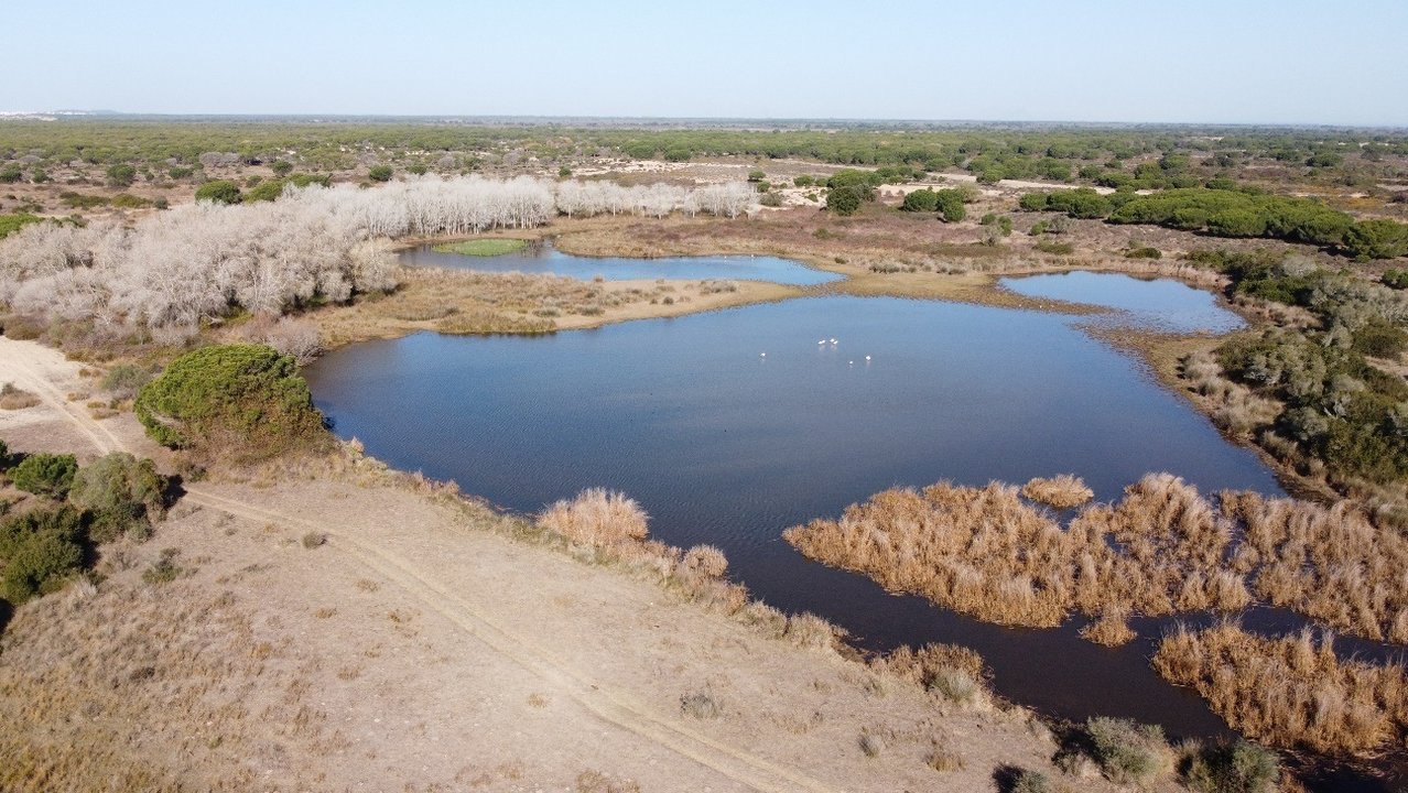 La laguna del Sopetón, Doñana.