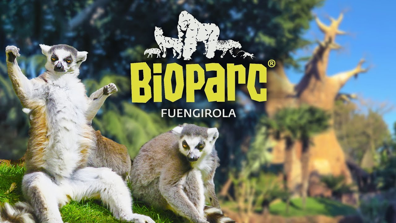 Bioparc Fuengirola.