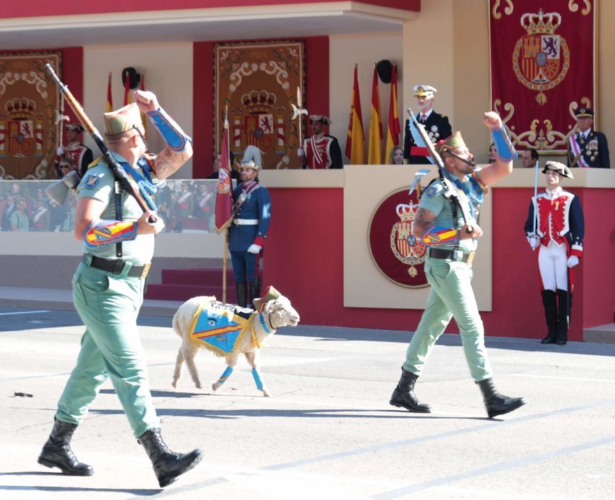 Un carnero de la X Bandera 'Millán Astray', en el desfile de la Fiesta Nacional 2022. (Foto- Iñaki Gómez : MDE).