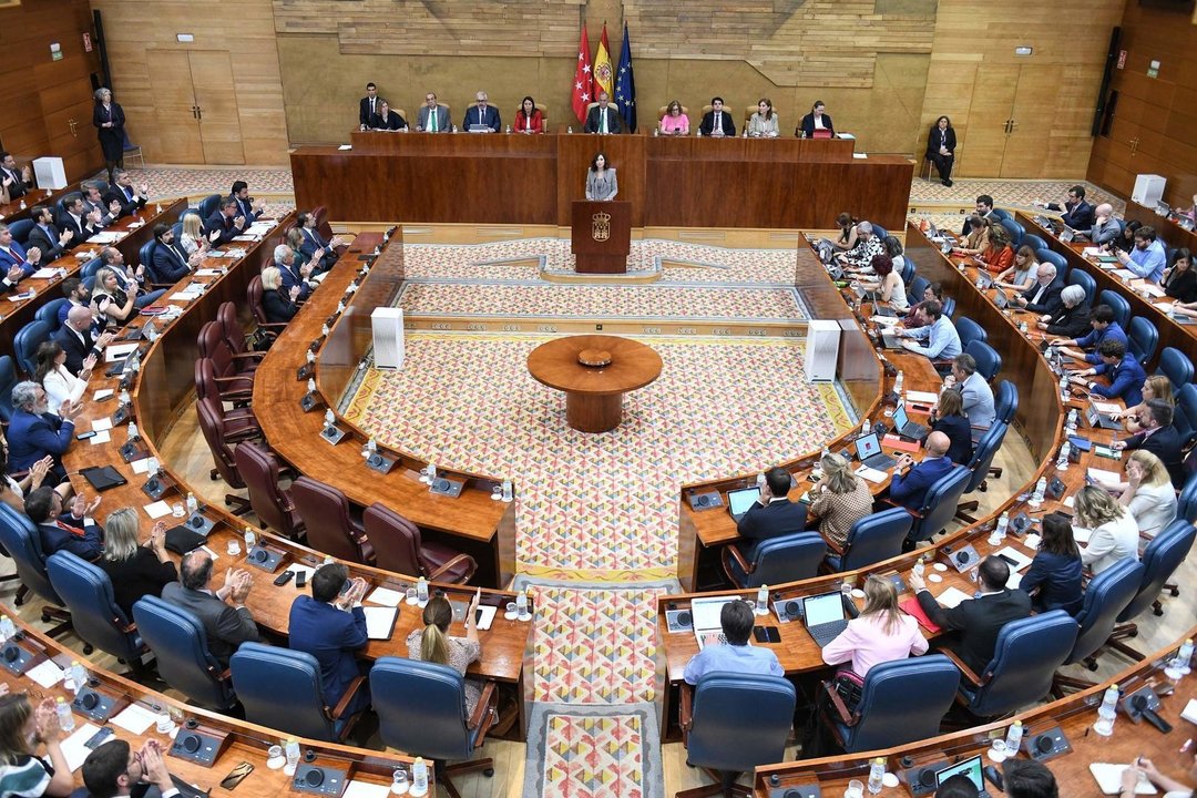 Pleno en la Asamblea de Madrid.