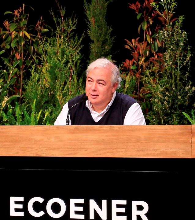 Luis de Valdivia, Presidente de Ecoener.