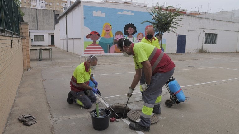 Sevilla inspecciona 58 colegios para detectar ratas. Foto: Ayuntamiento de Sevilla.