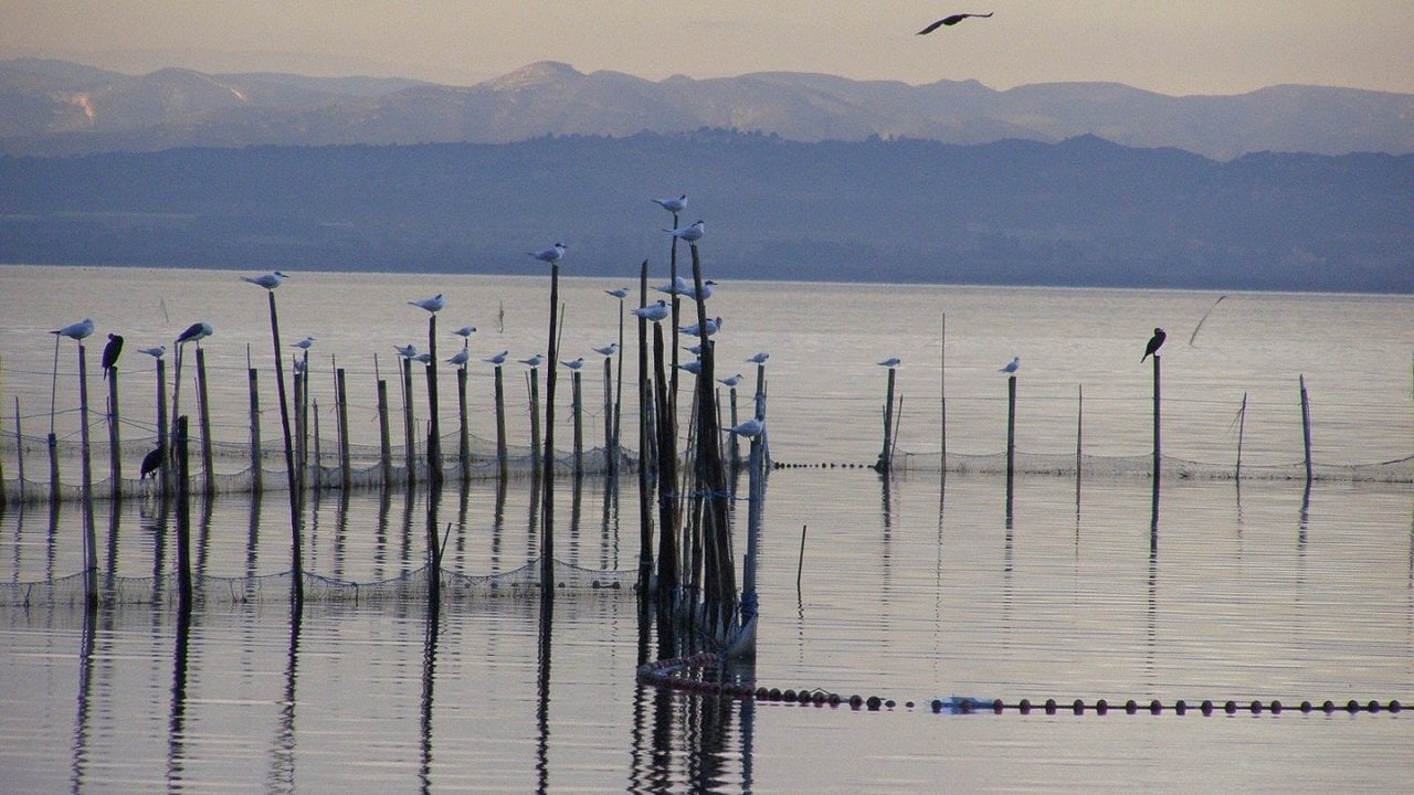 La Albufera de Valencia ‘sueña’ con el sello Unesco