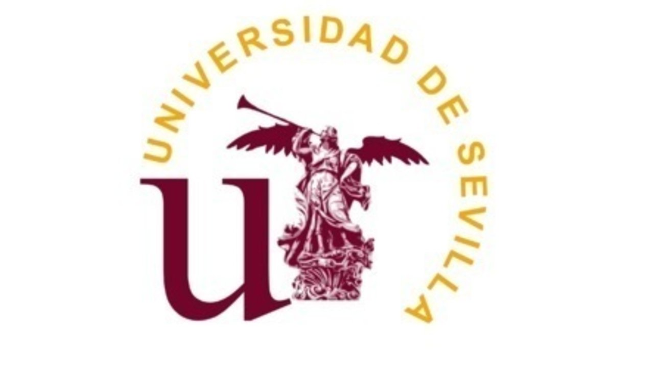 Universidad de Sevilla.