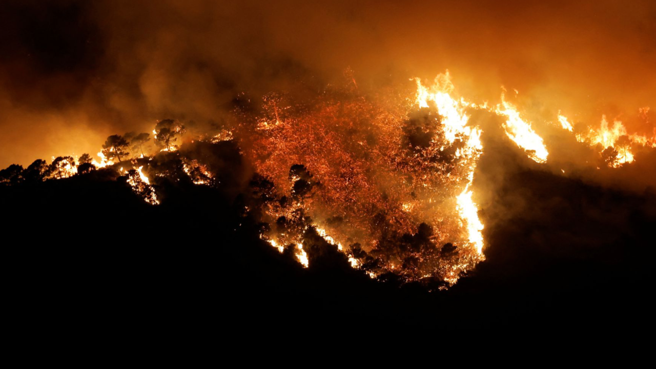 El incendio forestal visto desde Benahavís.