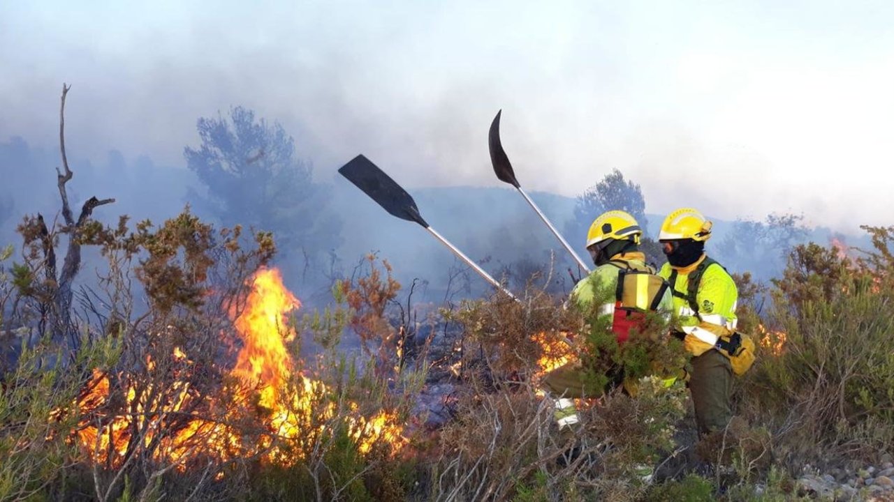 Bomberos extinguen un incendio forestal en la Comunidad Valenciana.
