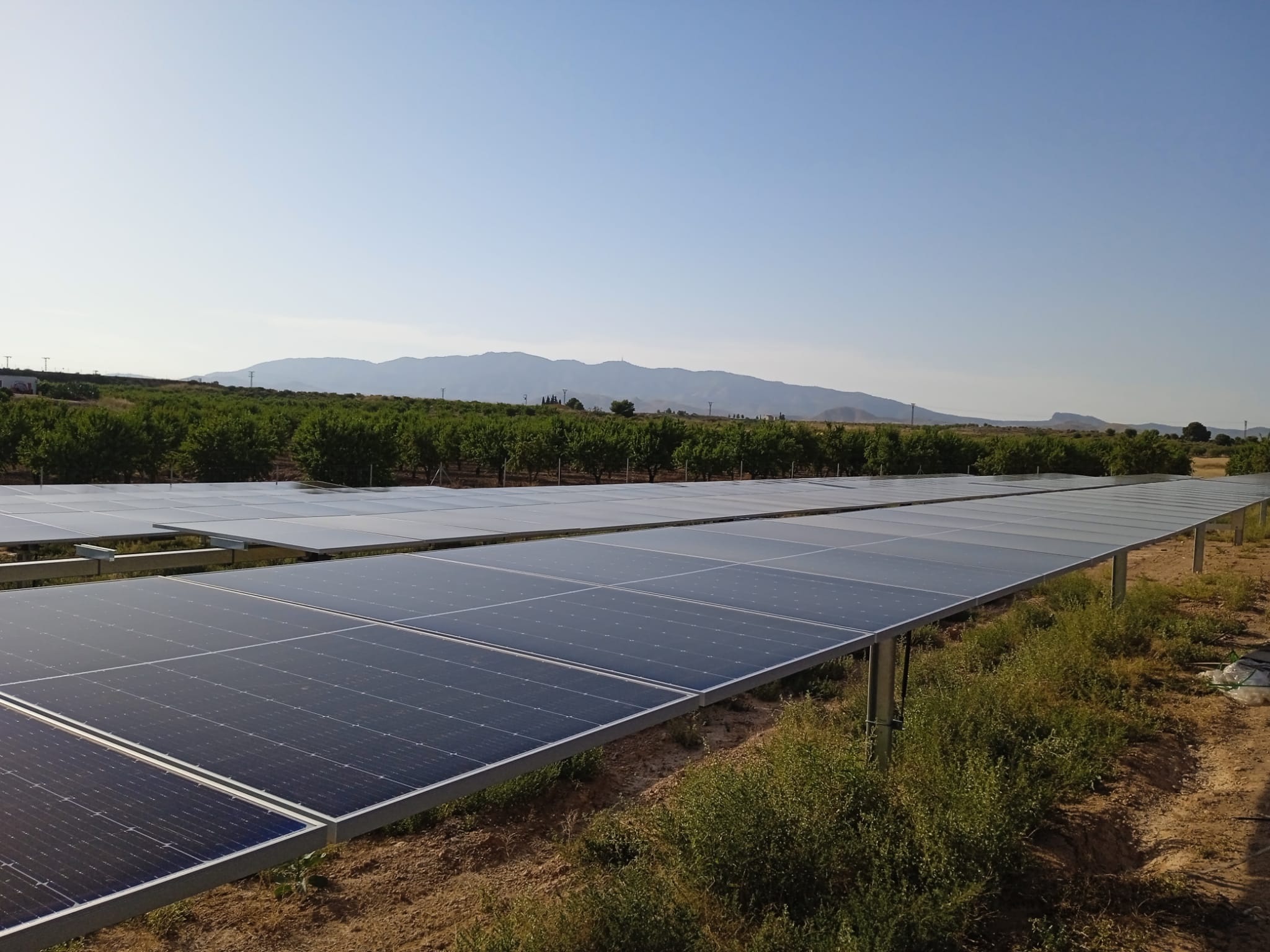 Parque Solar Comunidad Solar_Murcia