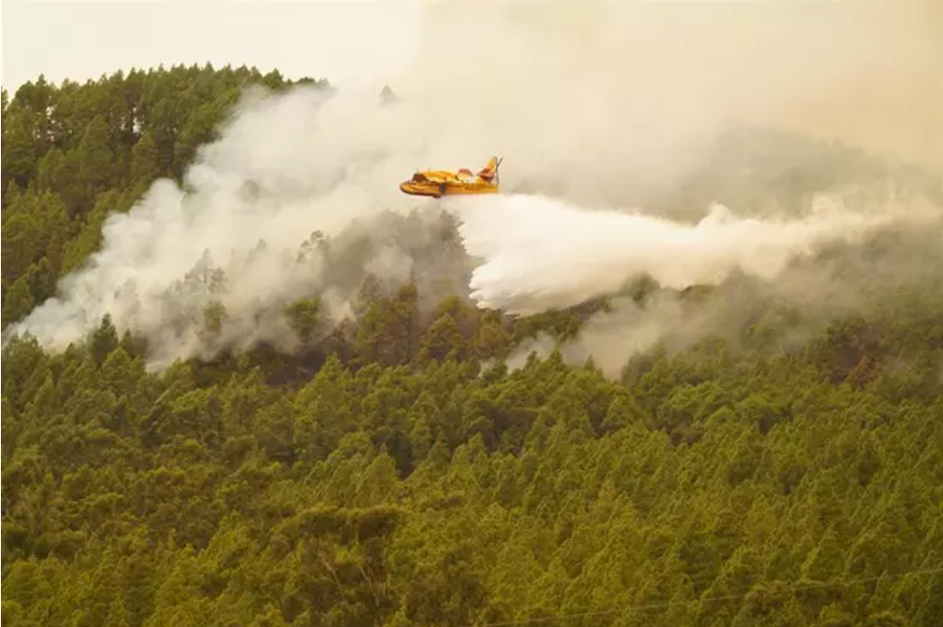 Un hidroavión lanza agua sobre el incendio forestal en las inmediaciones del municipio de El Rosario, a 17 de agosto de 2023, en Tenerife, Santa Cruz de Tenerife, Canarias (España)
