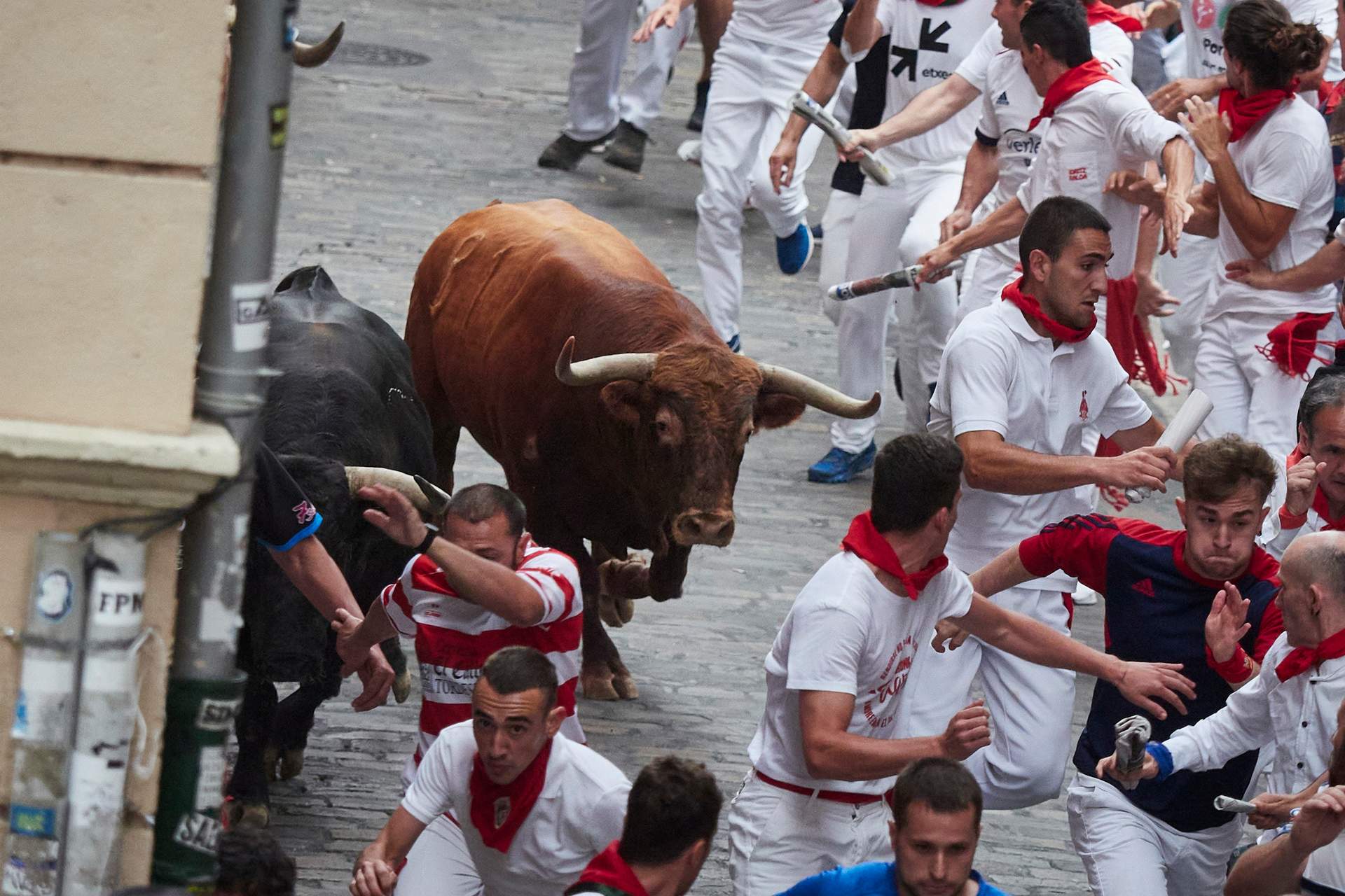 Imagen del quinto encierro de los Sanfermines de 2023, protagonizado por los toros de Núñez del Cuvillo.