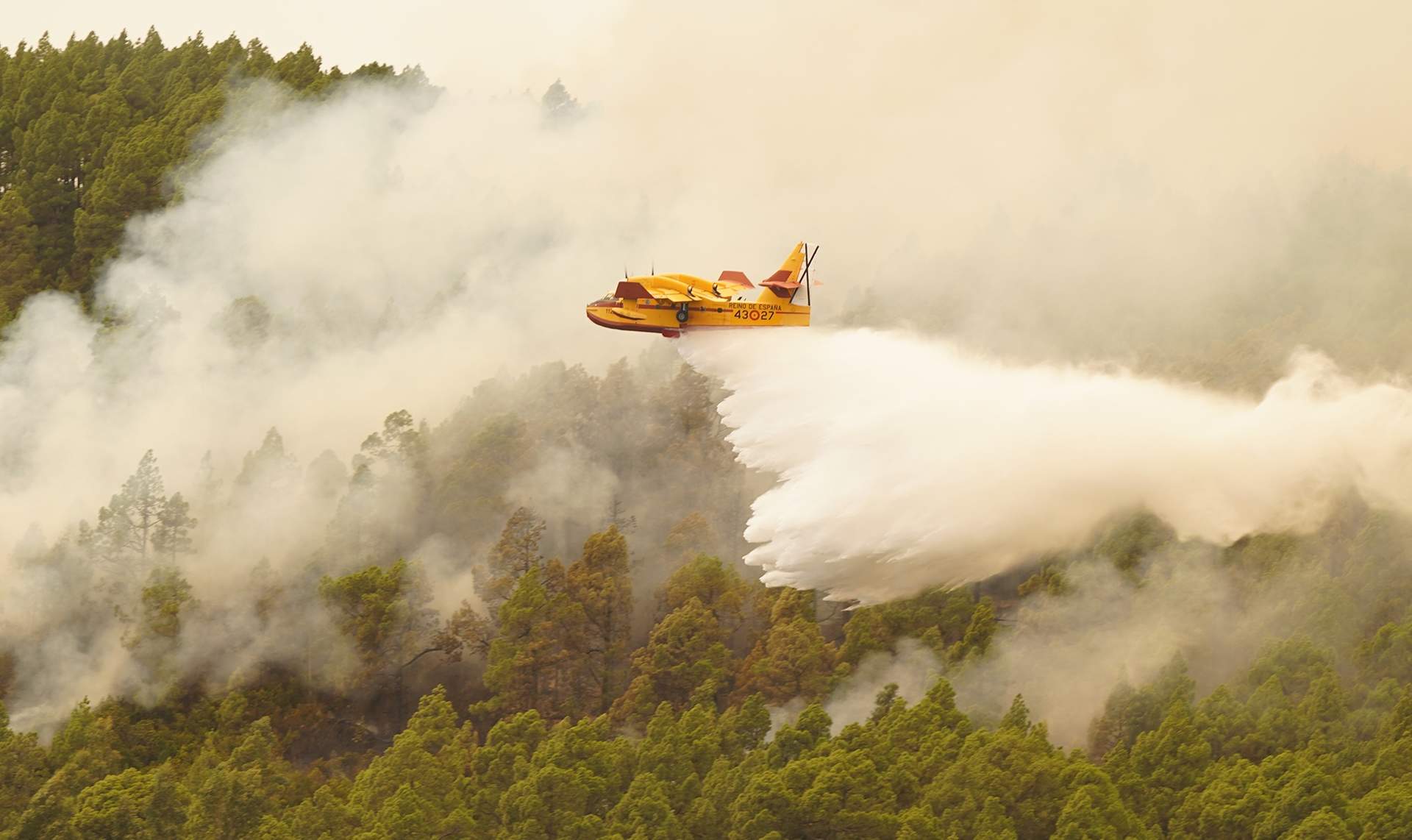 Un avión del 43 Grupo lanza agua sobre el incendio de Tenerife (Foto: Europa Press).